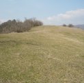 1400 mp teren agricol de vanzare, in  Alba Paclisa