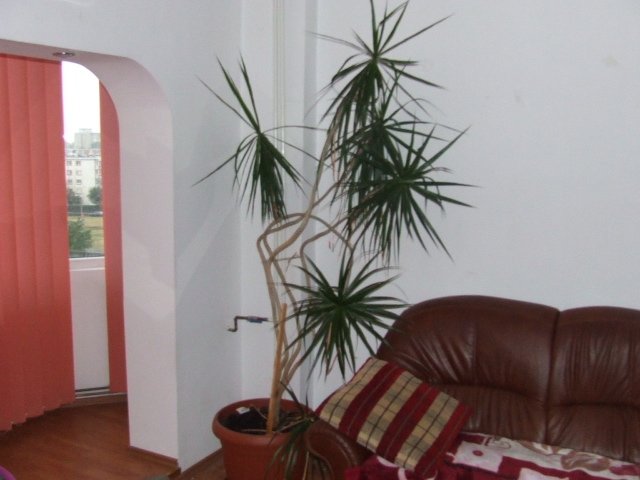 Apartament cu 4 camere de inchiriat, confort Lux, zona Micalaca,  Arad