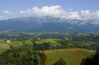 vanzare teren extravilan agricol de la proprietar cu suprafata de 26000 mp, comuna Moieciu