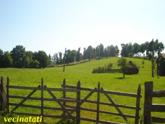 900 mp teren agricol de vanzare, in  Brasov Rasnov, zona Glajarie
