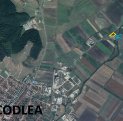 vanzare teren extravilan agricol de la agentie imobiliara cu suprafata de 10000 mp, in zona Nord-Est, orasul Codlea