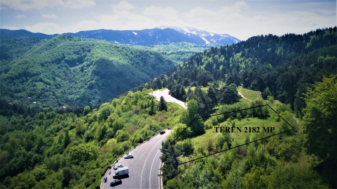 vanzare 2182 metri patrati teren intravilan, zona Drumul Poienii, orasul Brasov
