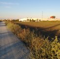 vanzare teren extravilan agricol de la proprietar cu suprafata de 33384 mp, in zona Varianta Ovidiu, orasul Constanta