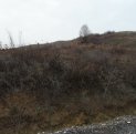 Dambovita Targoviste, zona Valea Voievozilor, teren intravilan de vanzare de la agentie imobiliara
