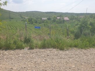 2500 mp teren intravilan de vanzare, in zona Popricani, Iasi