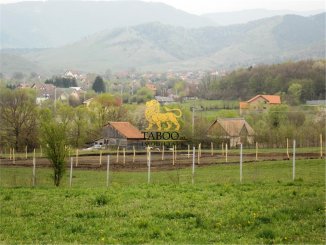  Sibiu Tocile, casa cu 4 camere de vanzare de la agentie imobiliara