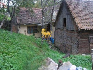 Proprietate speciala cu 1000 mp teren de vanzare, in  Sibiu Sibiel