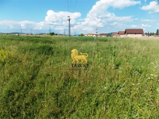  Sibiu, teren intravilan de vanzare de la agentie imobiliara