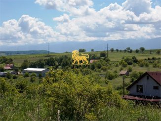  Sibiu Daia, teren intravilan de vanzare de la agentie imobiliara
