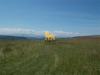 13400 mp teren intravilan de vanzare, Daia  Sibiu