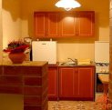 Apartament cu 2 camere de inchiriat, confort Lux, zona Central,  Timisoara Timis