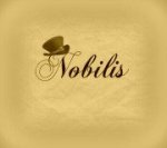 Imobiliare Nobilis (Manager de agentie)